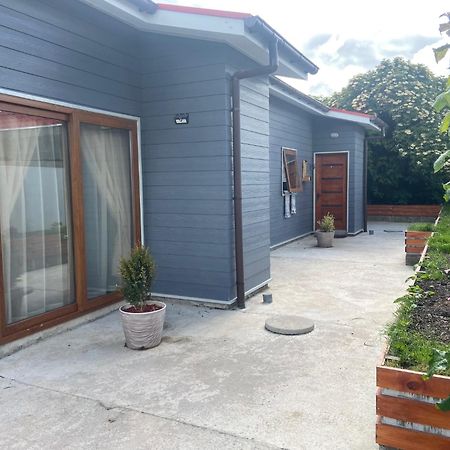 Cabanas Bosque Austral Пунта Аренас Екстериор снимка