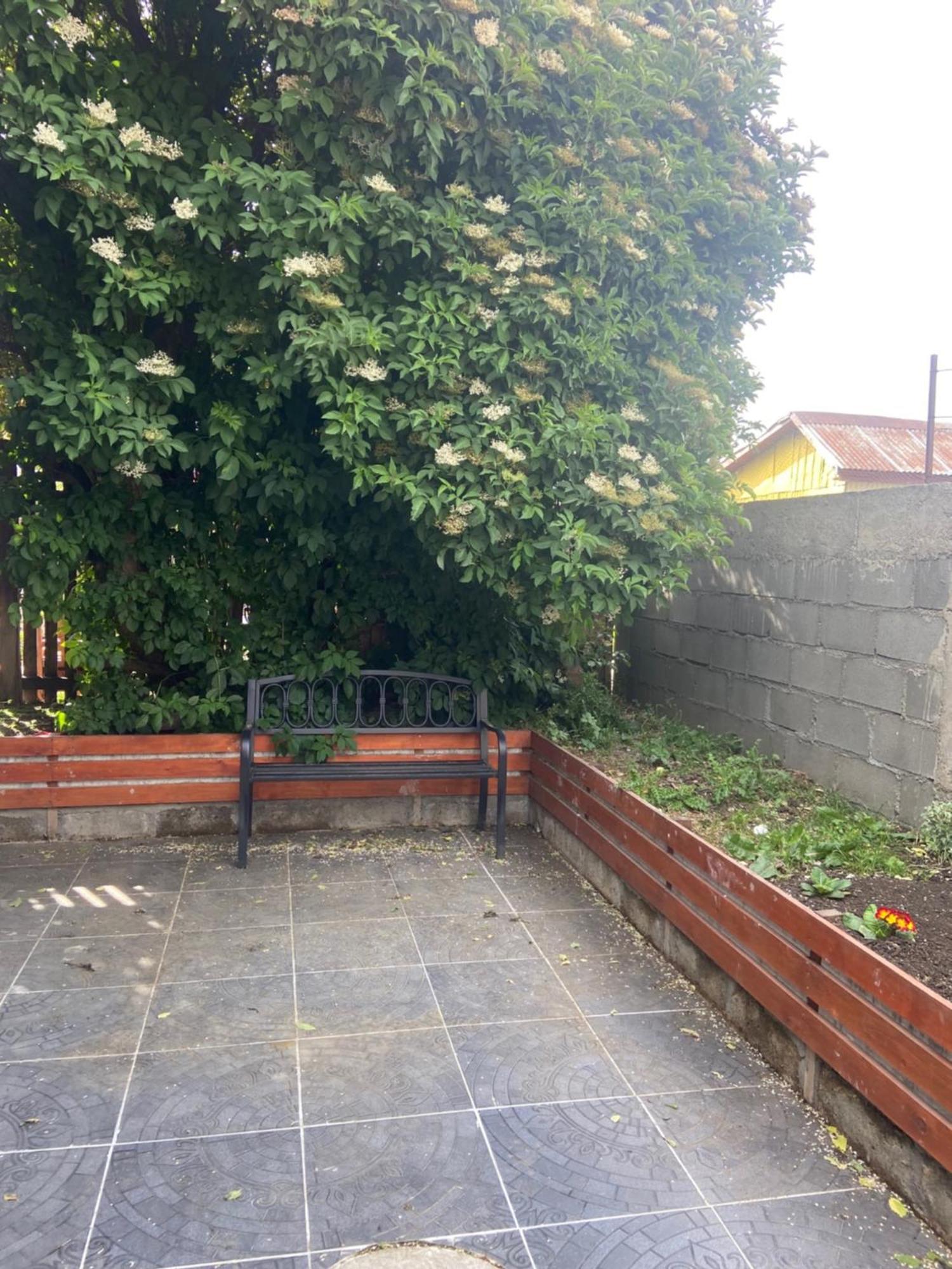 Cabanas Bosque Austral Пунта Аренас Екстериор снимка